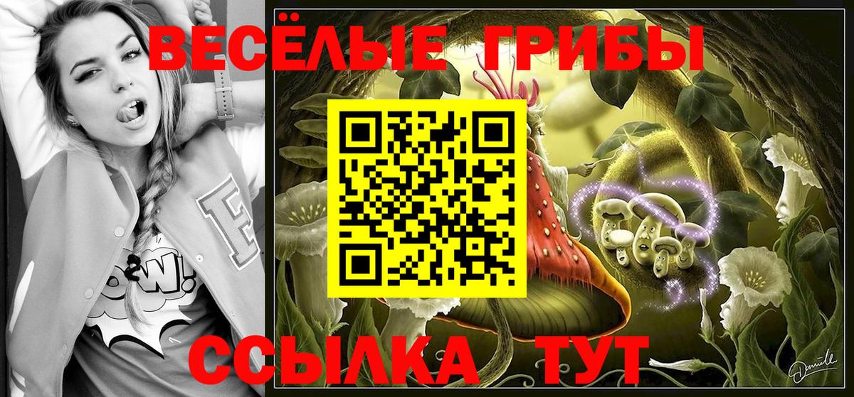Галлюциногенные грибы Psilocybe Волгодонск