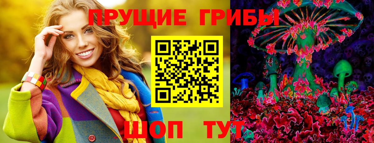 Волгодонск  Псилоцибиновые грибы GOLDEN TEACHER  Вход с VPN  Галлюциногенные грибы Cubensis 